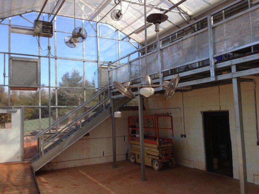 Arcadia 2013 Interior